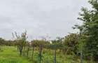De vanzare teren intravilan - 500 mp- sat Tirimioara - 1