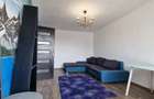 Lacul Tei -  Ripiceni - Apartament 2 camere - renovat - mobilat si utilat modern - 14