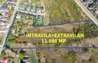 Teren intravilan | 4.920 mp | Balciu, Miroslava - 3