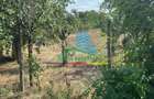 Teren 1500 mp pentru Casă | Petrești, Zonă de Case - 5