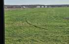 Teren intravilan Snagov - Ciofliceni - 1