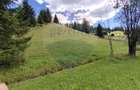 Teren de 14318m.p. în Paltinis, la 100m de strada Principala - 6