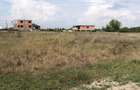 Teren Mosnita Noua, zona Albina - 5