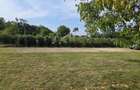 Ciopani vila 5 camere teren 4000 mp - 41