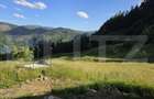 Teren intravilan de vanzare, 10 ari, zona Colibita - 2