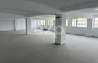 Clădire Mixtă Bd. Muncii Cluj – 10 Birouri + Hală 3290 mp - 0 Comision - 9