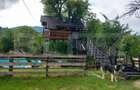 Proprietate cu piscină/ciubăr, zona Pietrari - 3