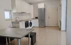 Apartament 2 camere recent renovat, mobilat si utilat nou zona Str. Lunga - 11