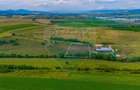 Oportunitate pentru fermieri: 10.800 mp teren arabil în Rotbav, Brașov - 6