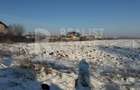 Vânzare teren 539 mp, în Ostratu, la 20 de minute de Therme București - 6