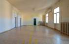 Vila istorica 940mp utili, 1064 teren | Ultracentral - 11