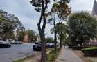 Inchiriere garsoniera City Park Mall termen lung - 27