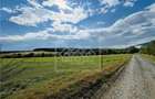 Teren intravilan, 5861 mp - Tocile - 7