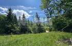 TEREN EXTRAVILAN DE VANZARE | CAMPULUNG MOLDOVENESC | 235.000€ - 6