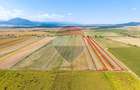 Teren 20,000mp Halchiu / Satul Nou - 6