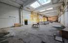 Platforma Industriala-8 ha -Fabrica-Hale Productie-21.500 mp - 9
