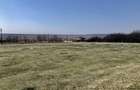 Vanzare teren intravilan- livezi - 1