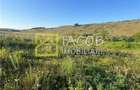 Teren Magura str. Intre Vii Islazului 550 mp - 7