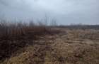 Teren extravilan Bușag 82 ari, plan drept, lângă Lăpuș, acces drum - 2