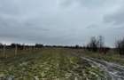 Teren intravilan 10.000 mp în Coșoveni – deschidere 21,5 m, utilități la front