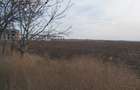 Terenuri intravilane de vanzare Focsani ,4,5 Ha Focsani - 11