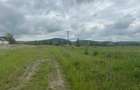 Vand teren extravilan 8.600 mp in Selimbar / jud. Sibiu - 2