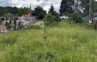 Teren plat-intravilan -3800 mp, cu pădurice și ieșire la râu! - 31