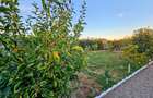 Casa 4 camere, constructie 2015, teren 1000 mp, Varsatura - 15