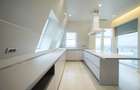 Iancu Nicolae | Penthouse | X4 Bai | X2 Parcare | Terase 46 MP | 230 MP | - 3