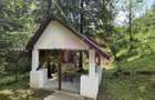 Vila din padure in Valea Doftanei - 44