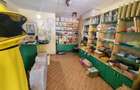 Spatiu comercial 20 mp in Nicolina - 1