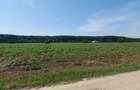 8.500 mp, cu deschidere la padure, dublă deschidere, Snagov –Ghermanesti - 8