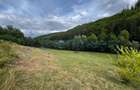 Teren extravilan de vanzare in Calatea, comuna Astileu, Bihor - 3