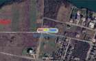 Mogosoaia 1.325 Mp LAC - IDEAL INVESTITIE - 6