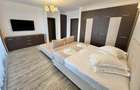 Proprietate exclusivista 4 camere Silver Mountain - 14