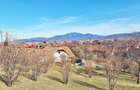 Comision 0%! Teren superb de 17000mp la 5 min de Castelul Bran, 13 eur - 10