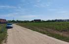 8.500 mp, cu deschidere la padure, dublă deschidere, Snagov –Ghermanesti - 5