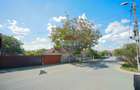 De vânzare casă din văioagă, 588 mp teren, în zona Oncea - 1