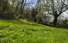 Apartament 2 Camere, 85 mp, Renovat Complet, Dobrogeanu Gherea, Brasov - 16