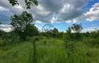 Teren de vanzare | 3.600mp | Valeni de Munte, Prahova | Comision 0% - 5