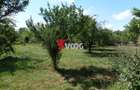 Teren intravilan | 2.810 mp|18ml|Zona Fratelia| - 10