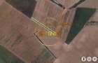 Teren extravilan arabil Petrachioaia 19.000mp - 4
