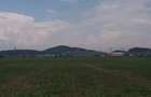 teren sanpetru sere - 1
