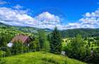 Teren de vanzare în inima Apusenilor –  6.500 mp Arieșeni - 5