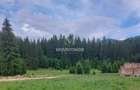 Teren intravilan în Poiana Brașov, 0% COMISION - 5