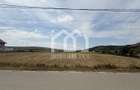 Teren Construibil 2.900 mp – Jucu de Mijloc, zona Panemar