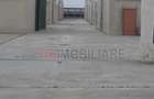 *Fermă modernă pentru export miei | 6 ha | Standarde europene | Aproape de Brăil - 5