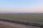 Teren intravilan 5000 mp de vânzare   Cheiul Dâmboviței apropiere A2 - 9