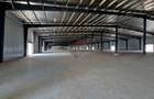 COMPLEX INDUSTRIAL & COMERCIAL PREMIUM | ILFOV