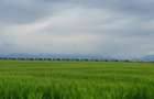 Oportunitate teren construcții 9300 mp - 3